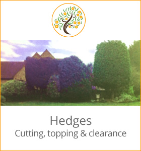 Hedges